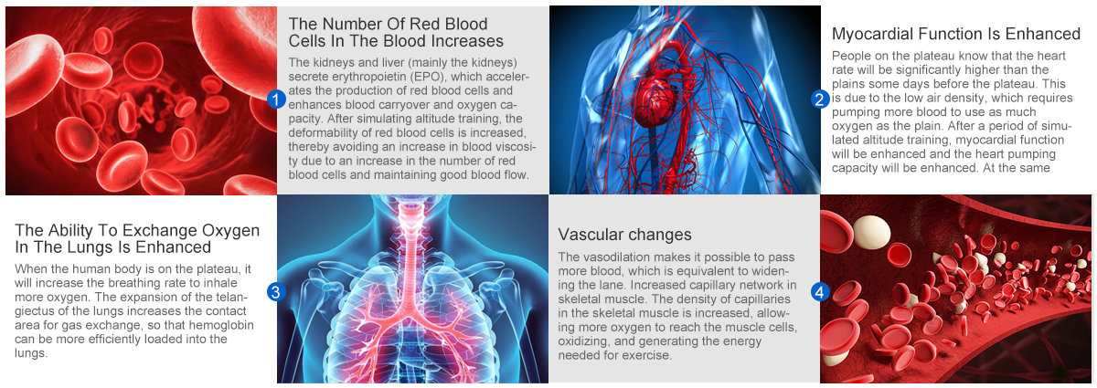 Does hypoxic training have such benefits?cid=19