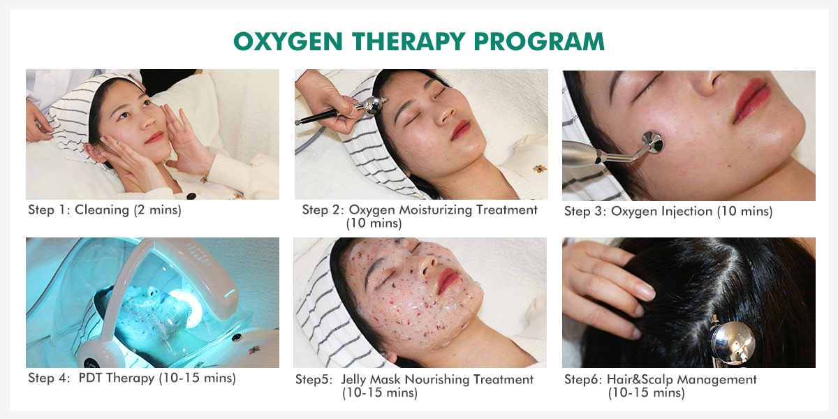 Professional Salon Spa Medical Oxygen Facial Beauty Machine