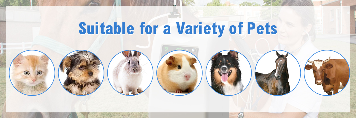 OLV-10 Portable Medical Oxygen Concentrator For Animals