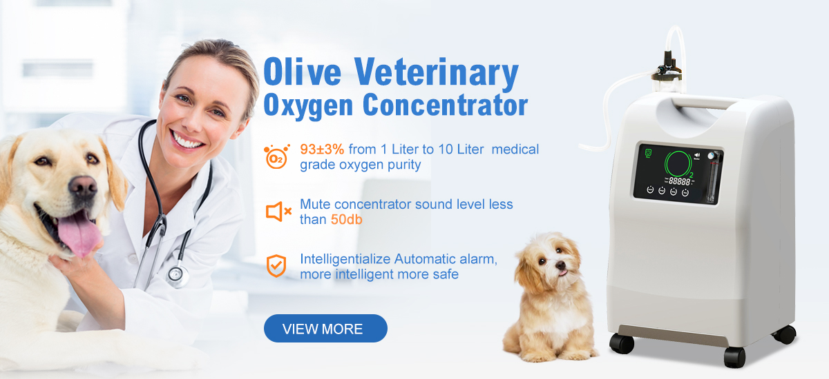 OLV-10 Portable Medical Veterinary Oxygen Concentrator For Pet