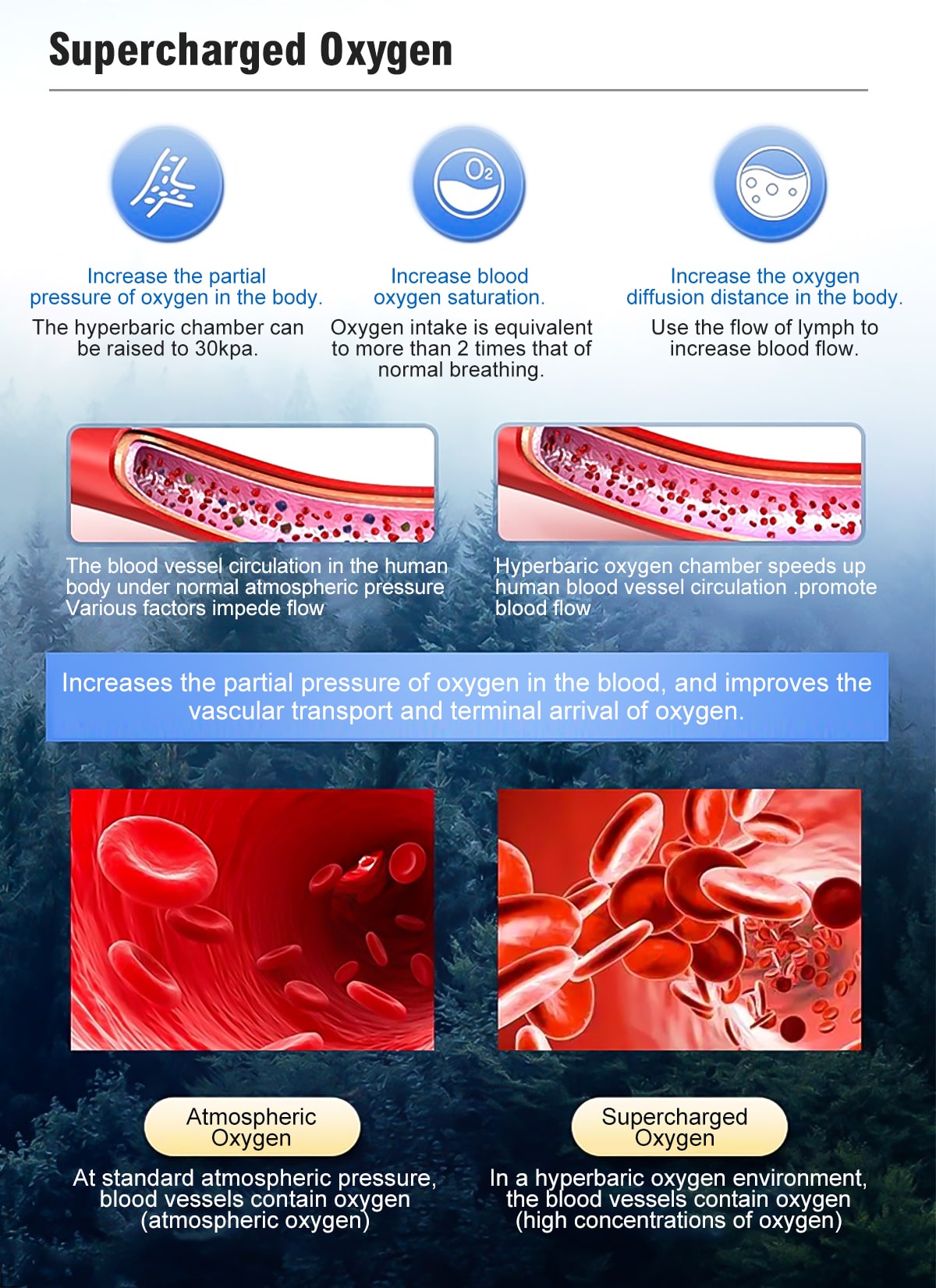 HBOT Hyperbaric Chamber Oxygen Therapy