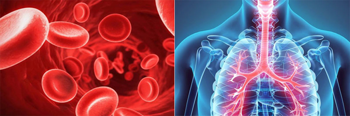 Popular science | A simple understanding of "hyperbaric oxygen"