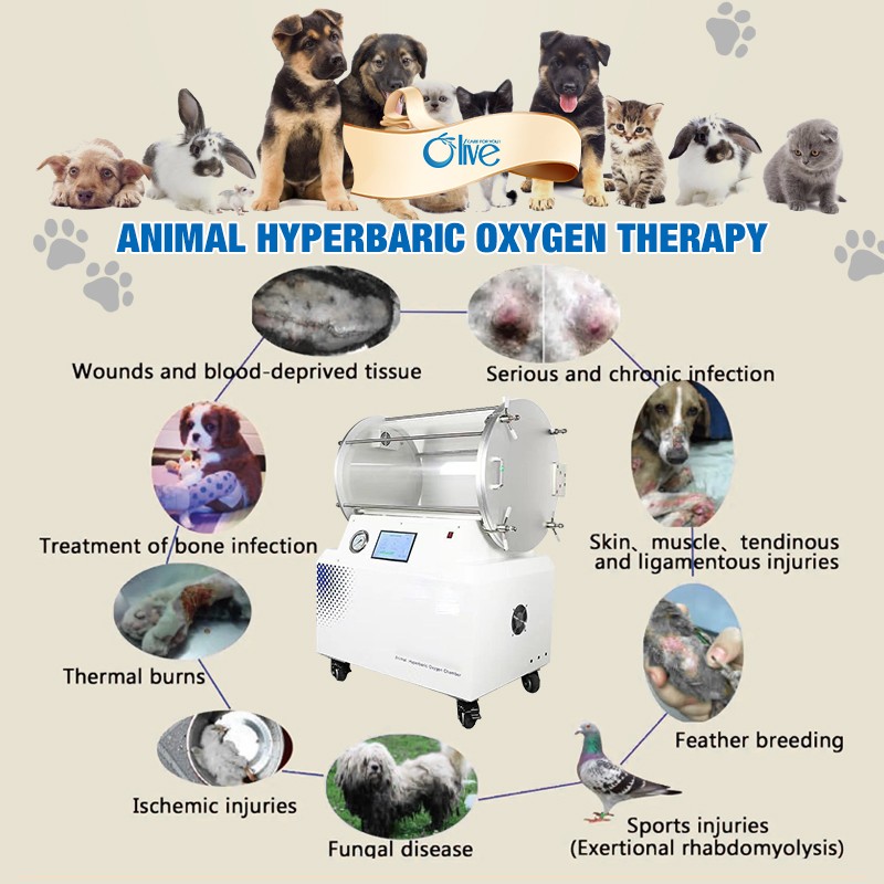 2 ATA Hyperbaric Oxygen Chamber for Pets