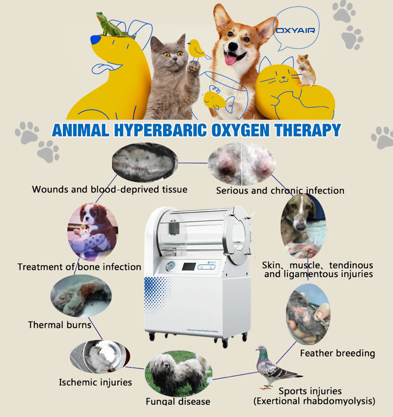 1.5-2 ata Animal Hyperbaric Oxygen Chamber