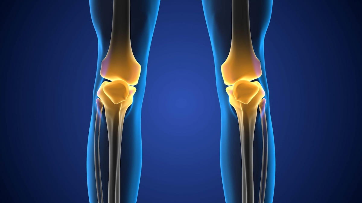 Boosting Collagen Production for Joint and Tissue Health