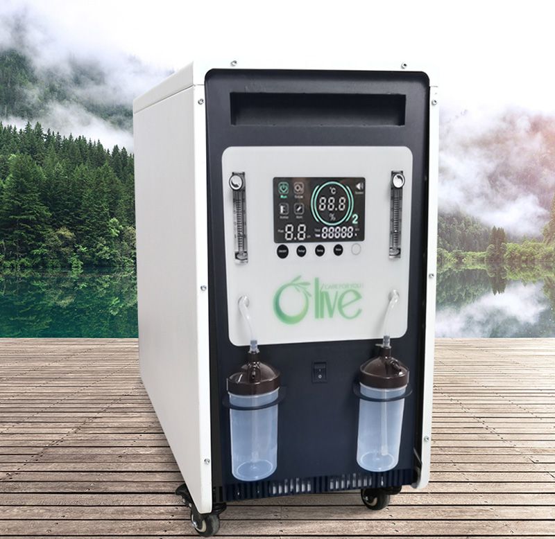 Dual Flow Oxygen Concentrator