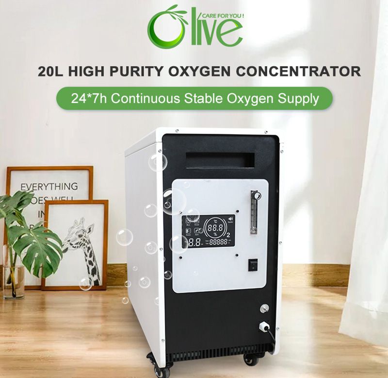 Dual Flow Oxygen Concentrator