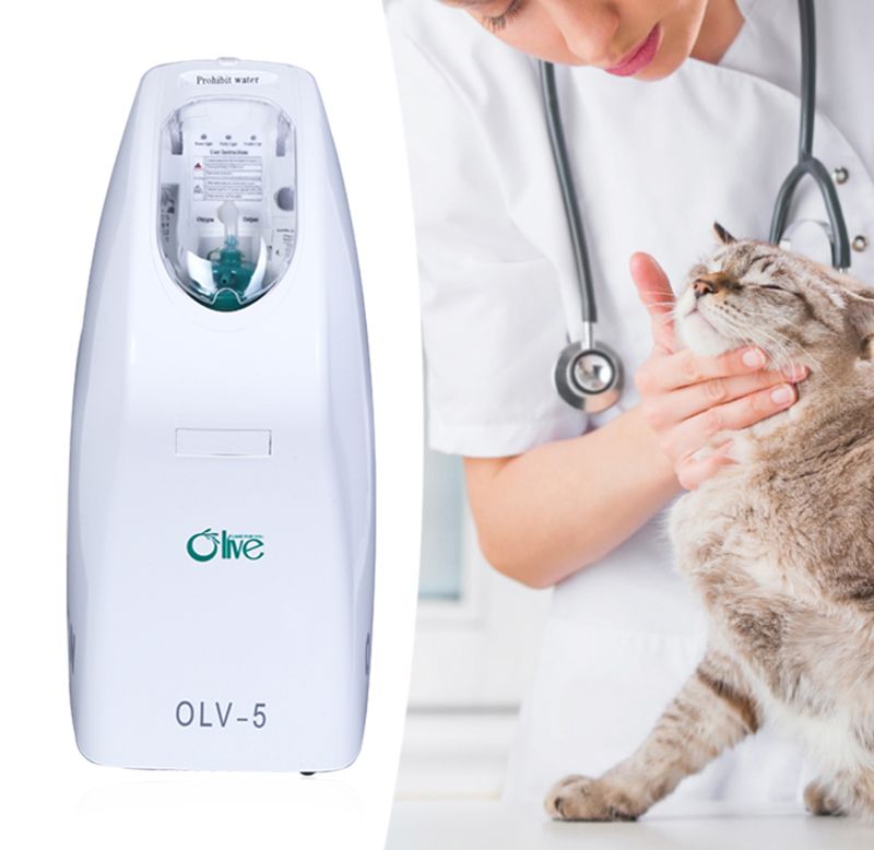 oxygen concentrator for pets
