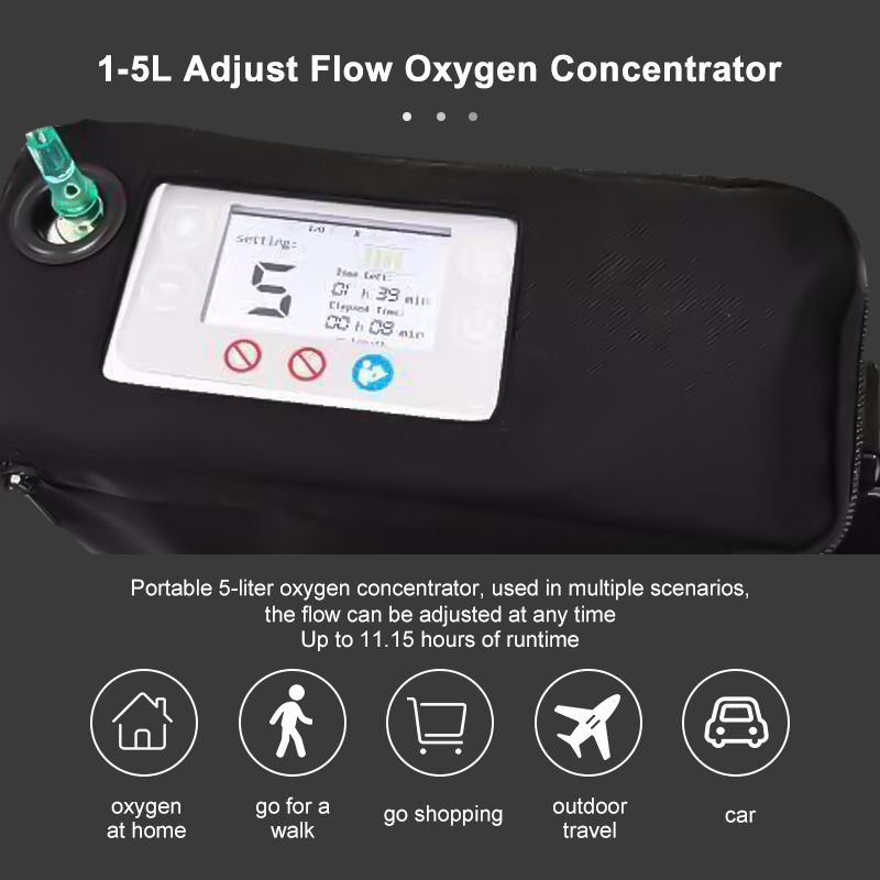 pulse portable oxygen concentrator