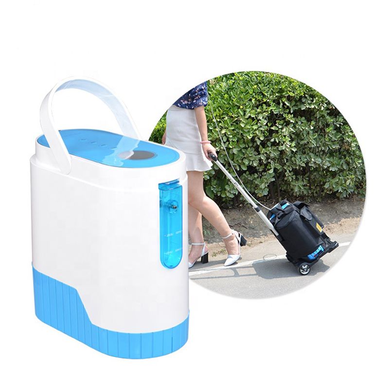 Portable Oxygen Concentrator