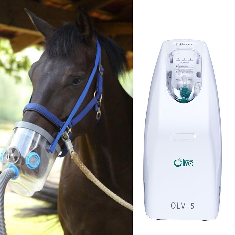 horse oxygen concentrator