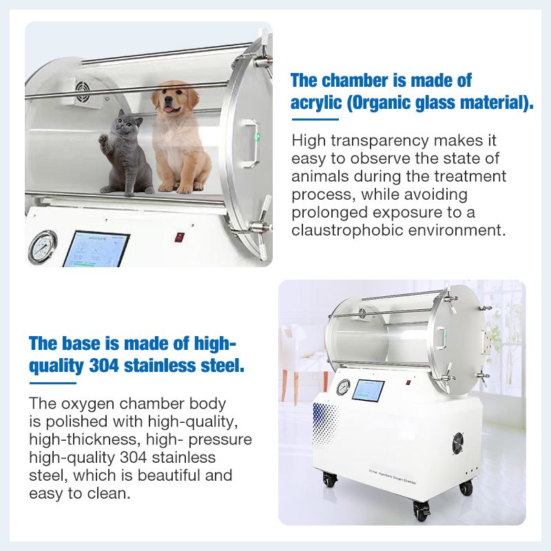 2 ATA Hyperbaric Oxygen Chamber for Pets