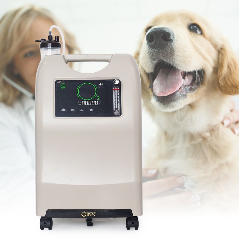 oxygen concentrator for animals