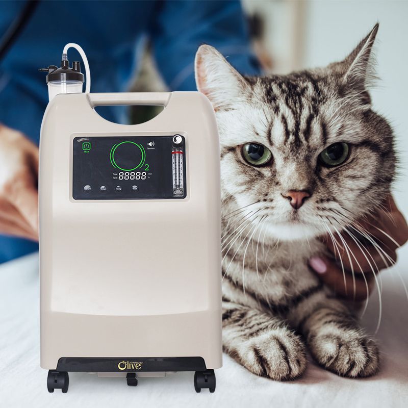 Veterinary Oxygen Concentrator 