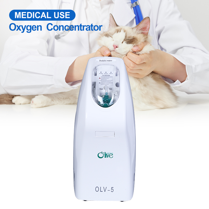 OLV-5 Veterinary Medicine Anesthesia Equipment Oxygen Pet Oxygen Concentrator For Breathing