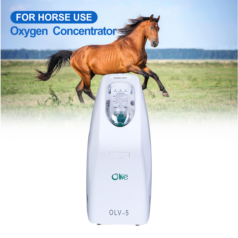 Olive 5L Horse Oxygen Concentrator OLV-5 For Veterinary Use