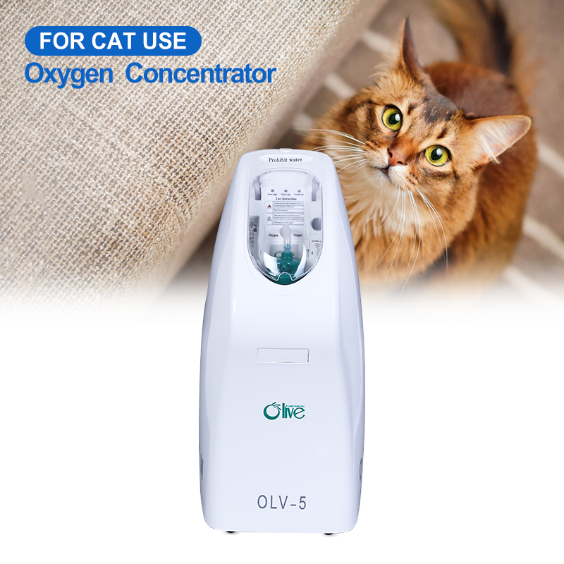 OLV-5 Cat Oxygen Concentrator For Connect the Anesthesia Machine