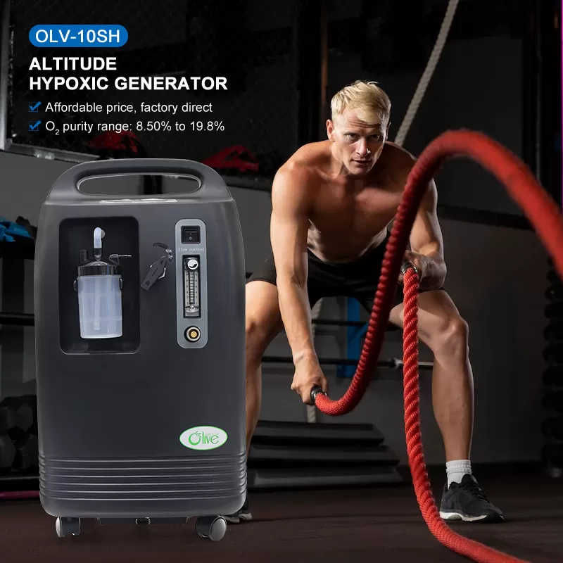 Hypoxic Generator Training System