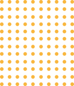 Get in Touch With Us Today!